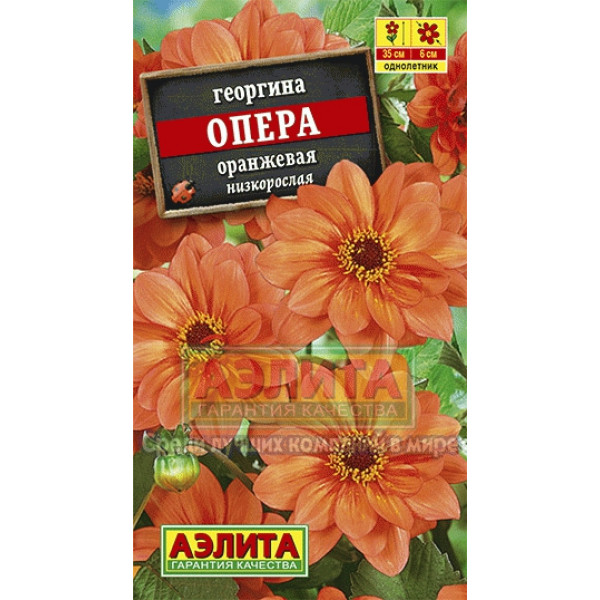 Георгина Опера оранжевая 0,1гр
