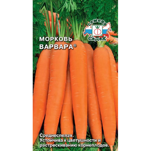 Морковь Варвара  2гр